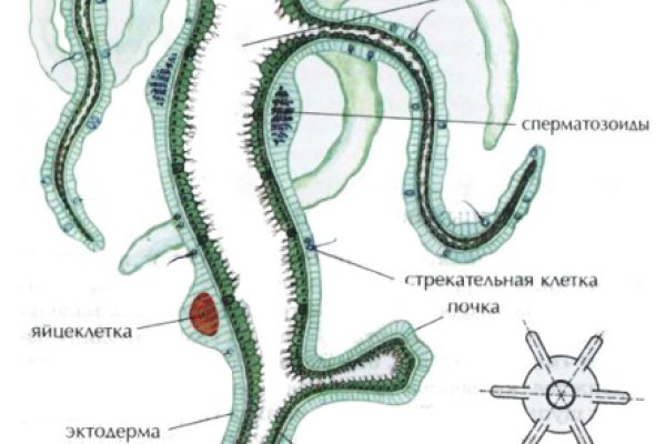 Что такое кракен только через тор