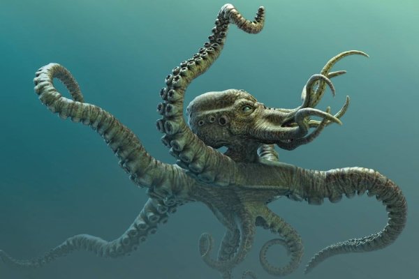 Kraken маркетплейс официальный