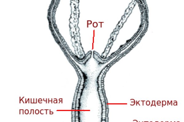 Кракен вход ссылка